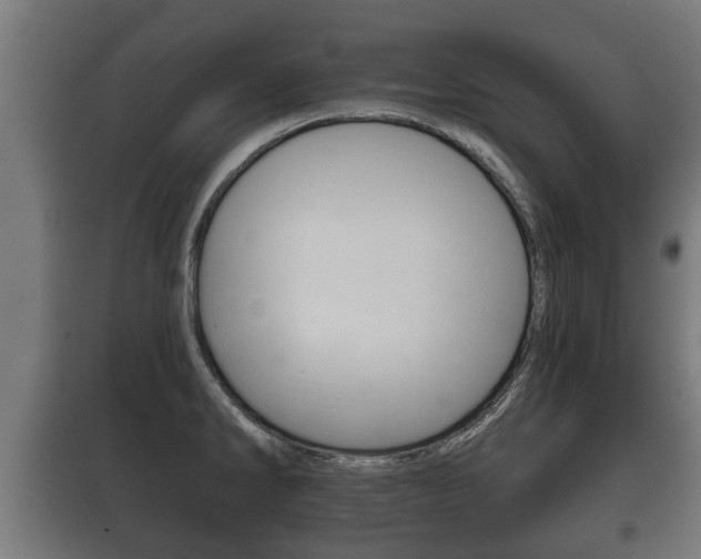 X0000100411286200806060917