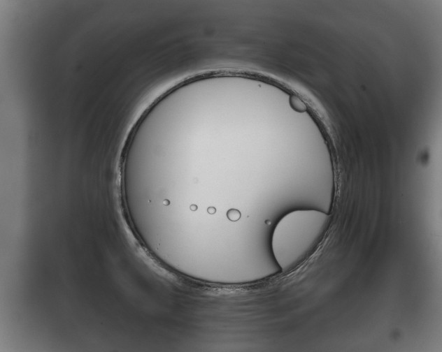 X0000100411287200806060917