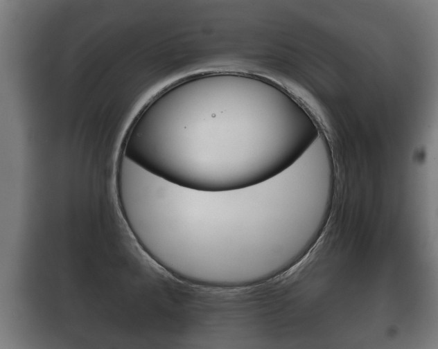 X0000100411288200806060917