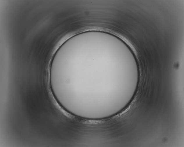 X0000100411290200806060917