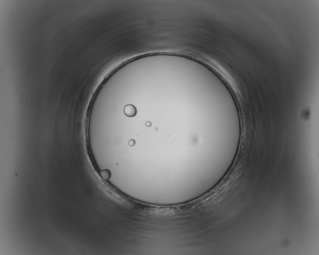X0000100411291200806060917