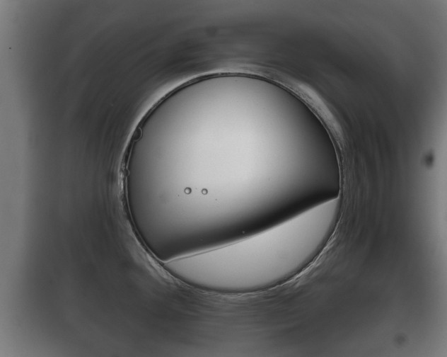 X0000100411292200806060917