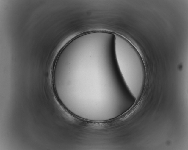 X0000100411293200806060917