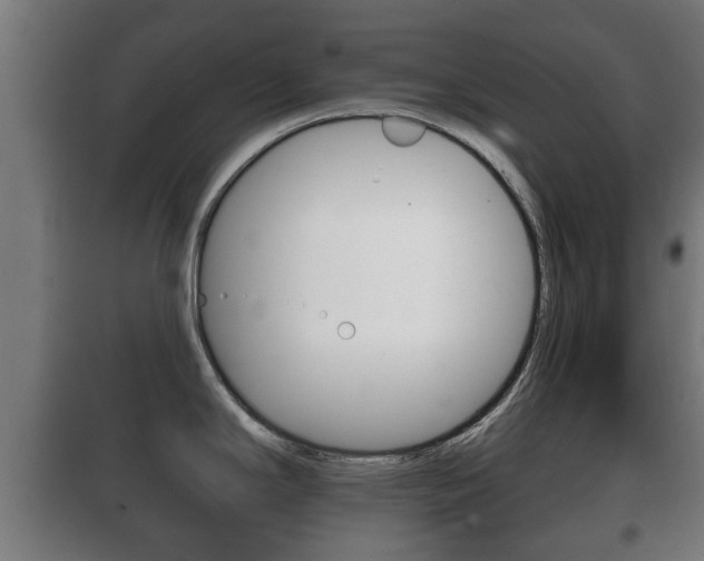 X0000100411294200806060917