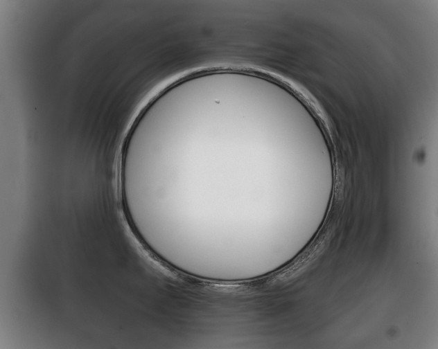X0000100411295200806060917