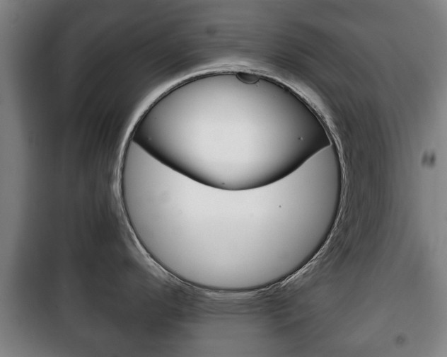 X0000100411296200806060917