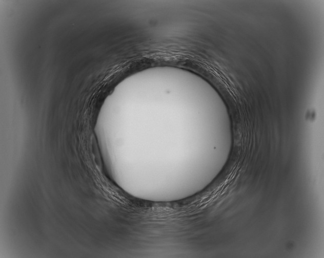 X0000100411297200806060916