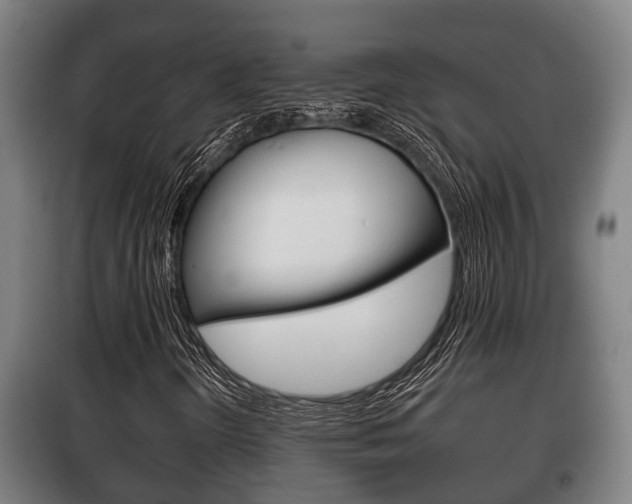 X0000100411298200806060916