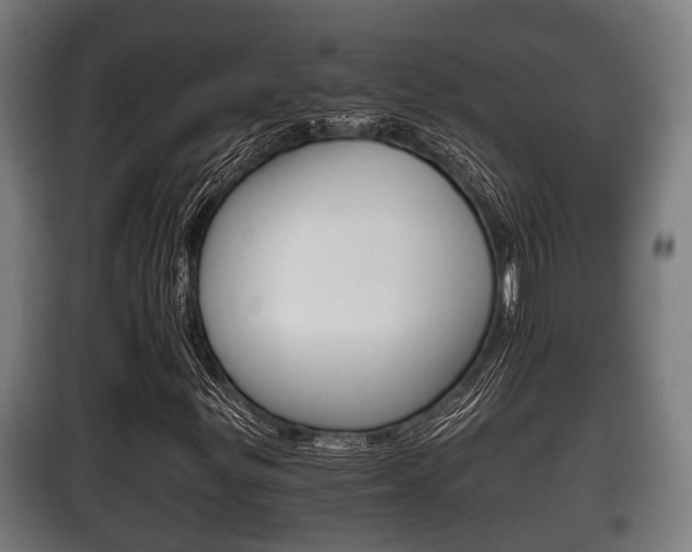 X0000100411299200806060916