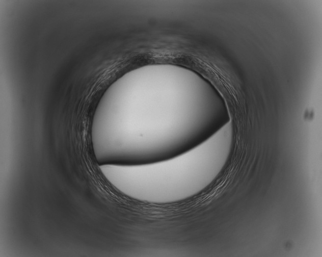 X0000100411300200806060916