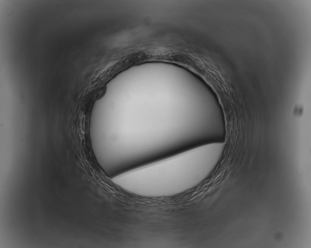 X0000100411301200806060916