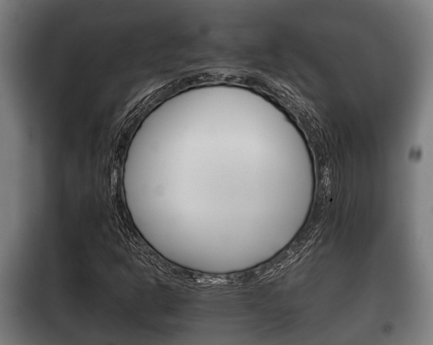 X0000100411302200806060916
