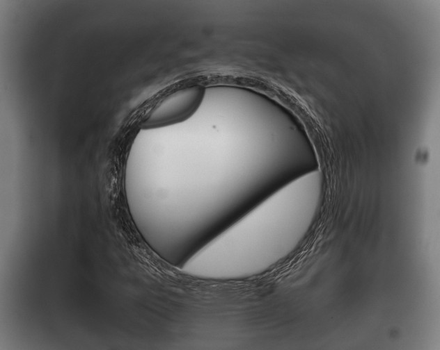 X0000100411303200806060916