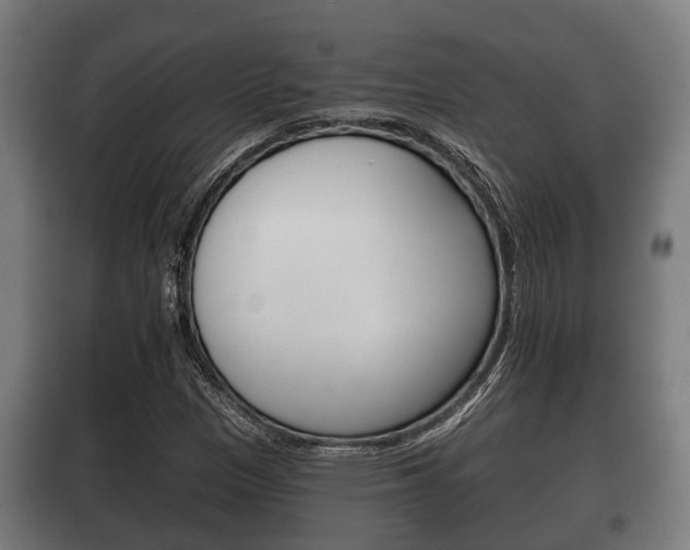 X0000100411305200806060916
