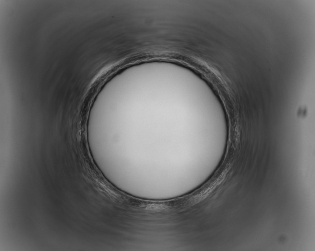 X0000100411306200806060916
