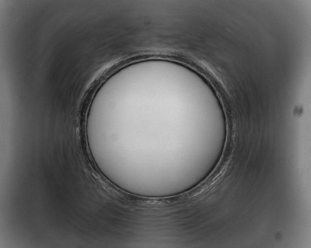 X0000100411307200806060916