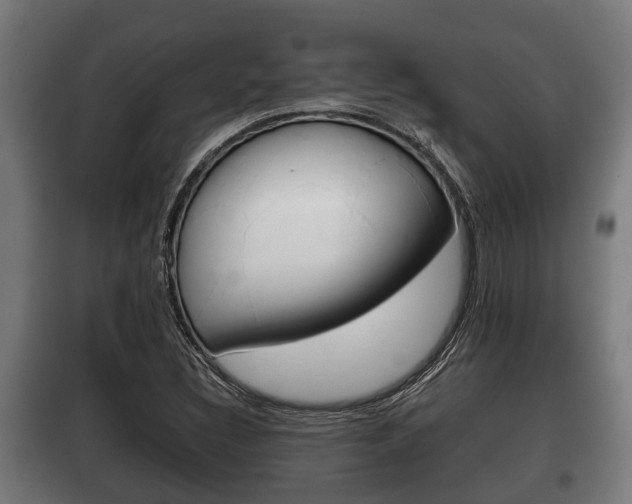 X0000100411308200806060916