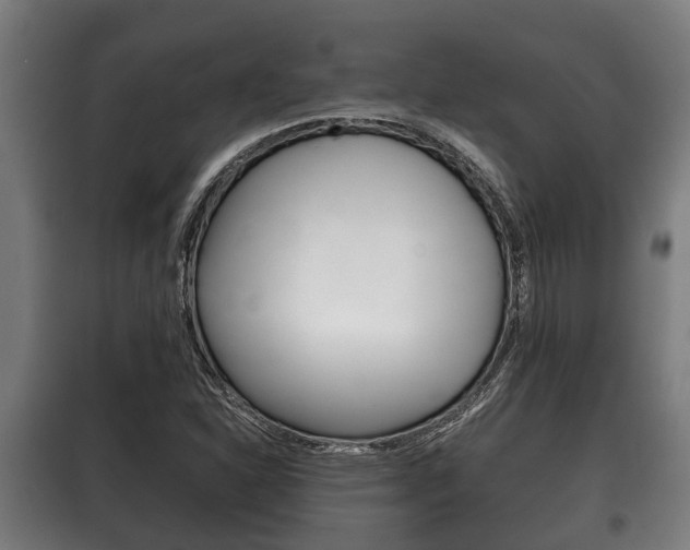 X0000100411310200806060916