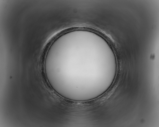 X0000100411311200806060916