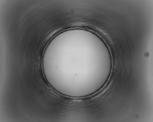 X0000100411313200806060916