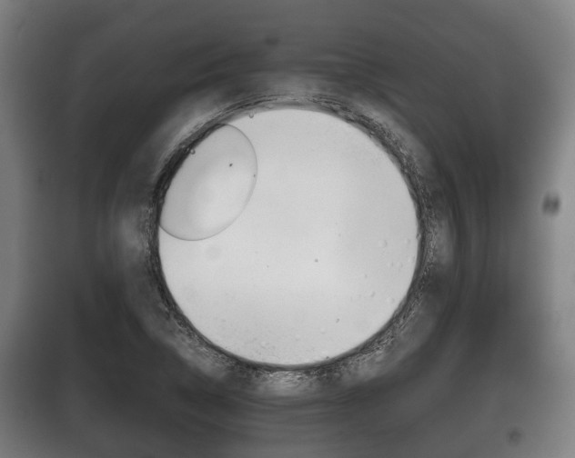 X0000100411314200806060916