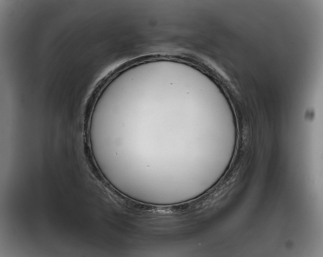X0000100411315200806060916