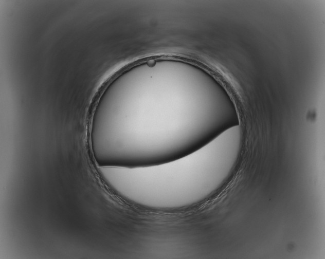 X0000100411316200806060916
