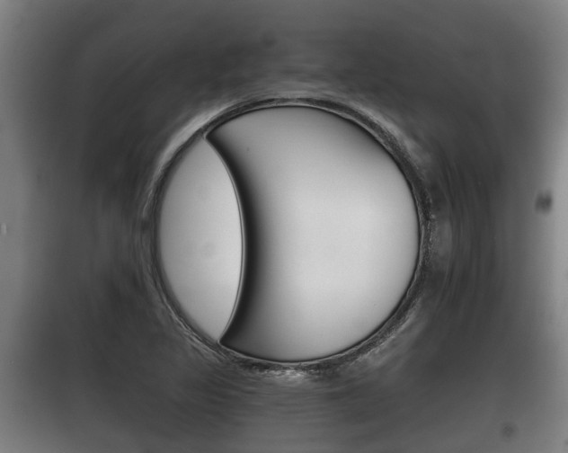 X0000100411317200806060916