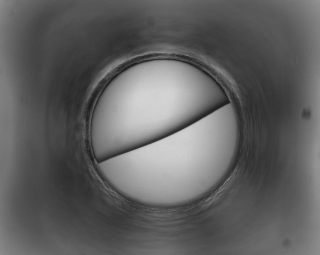 X0000100411318200806060916