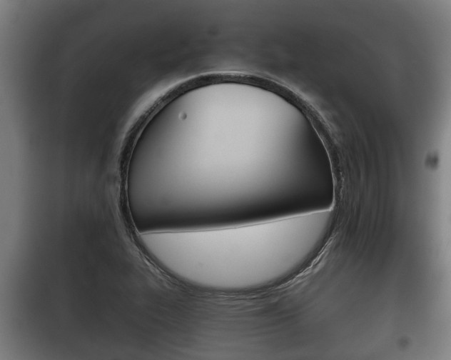 X0000100411319200806060916