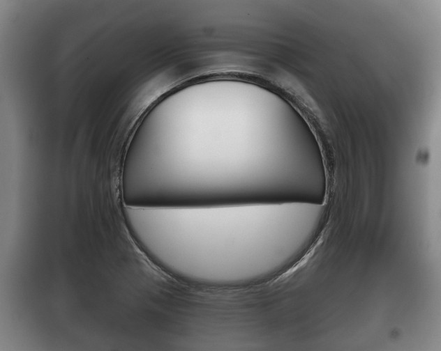 X0000100411321200806060916