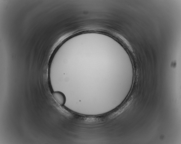 X0000100411322200806060916