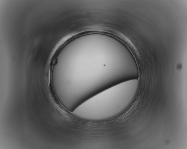 X0000100411323200806060916