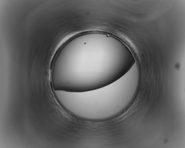 X0000100411324200806060916