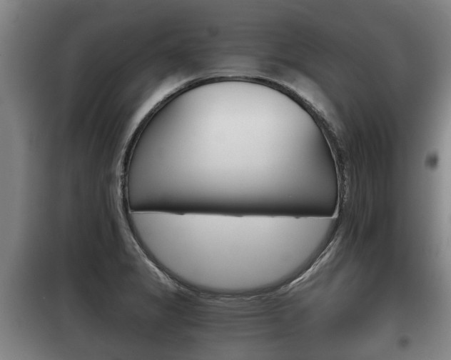 X0000100411325200806060916