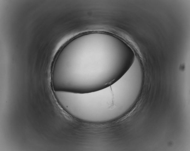 X0000100411328200806060916