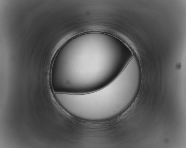 X0000100411330200806060916