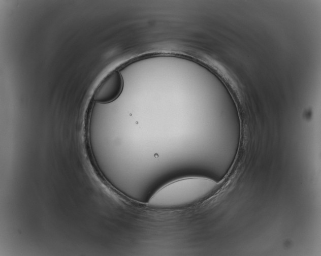 X0000100411331200806060916