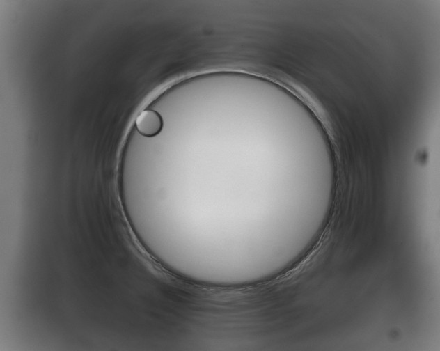 X0000100411332200806060916