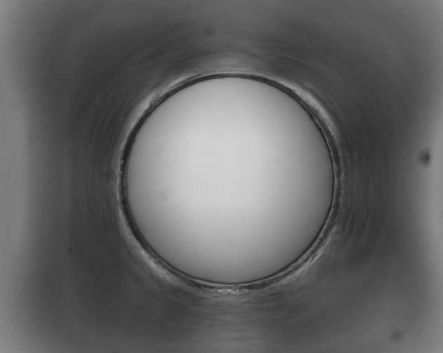 X0000100411333200806060916