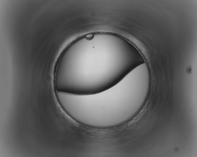 X0000100411334200806060916