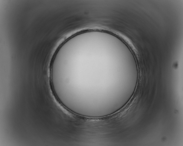 X0000100411335200806060916