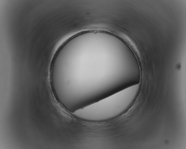 X0000100411336200806060916