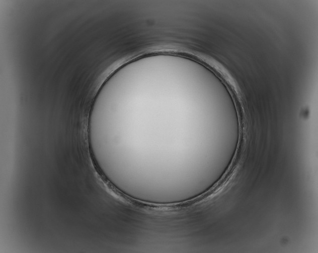 X0000100411337200806060916