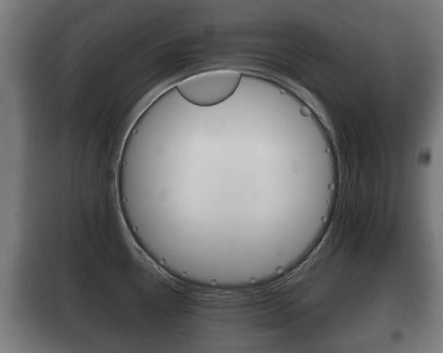 X0000100411338200806060916