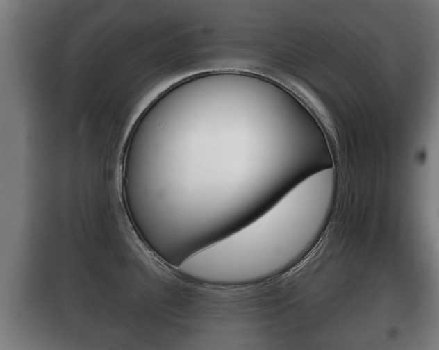 X0000100411340200806060916