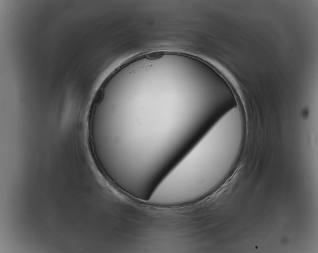 X0000100411341200806060916