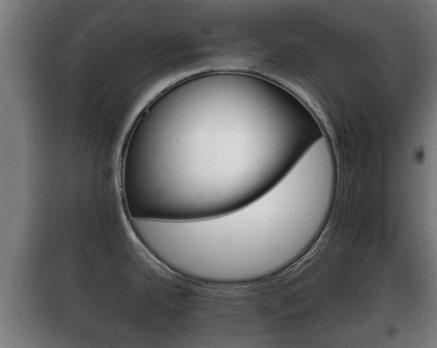 X0000100411342200806060916