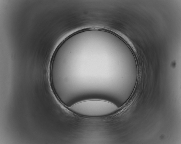 X0000100411343200806060916