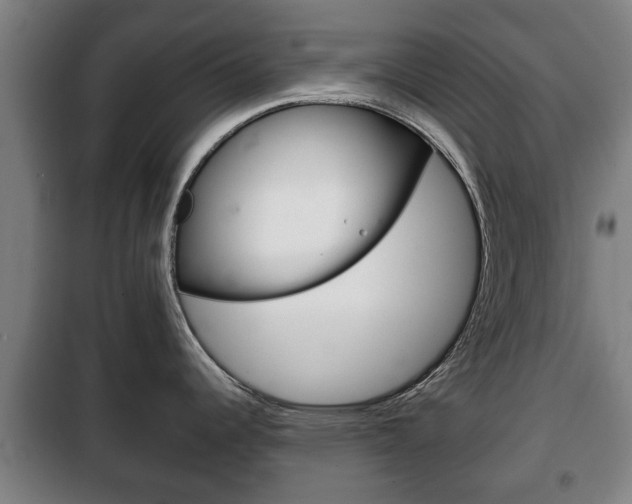 X0000100411344200806060916